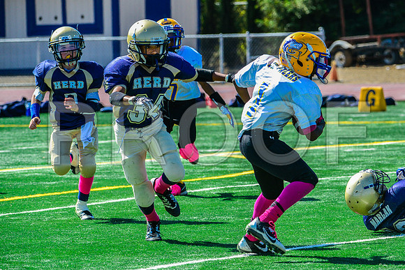 PEE WEE Elk Grove Herd-33