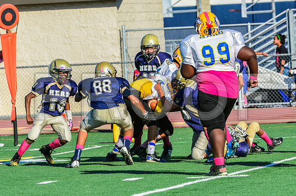 Jr Midgets Elk Grove Herd-114