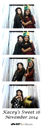 2014-11-15-0061