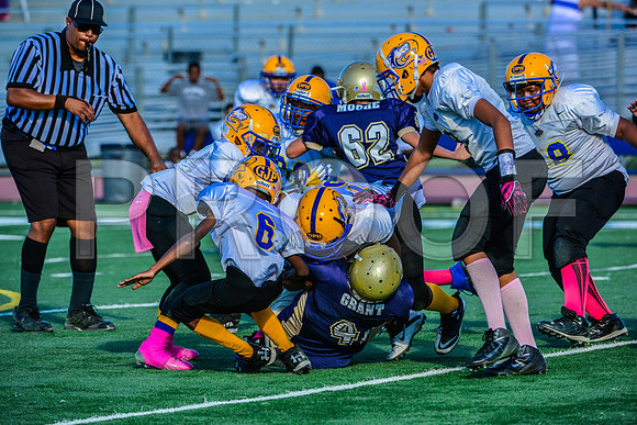 Jr Midgets Elk Grove Herd-139