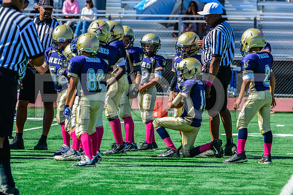 JR PEE WEE Elk Grove Herd-95