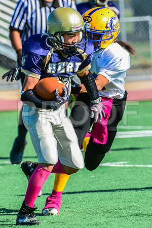 Jr Midgets Elk Grove Herd-36