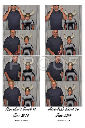 2014-6-14-0025-d