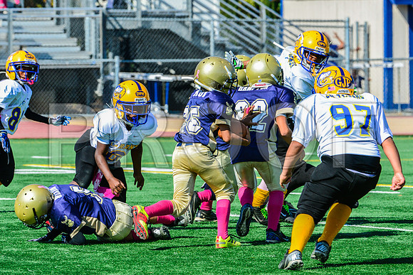 JR PEE WEE Elk Grove Herd-47