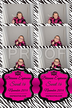 2014-11-8-0015-d