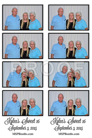 2015-8-1-0010-d