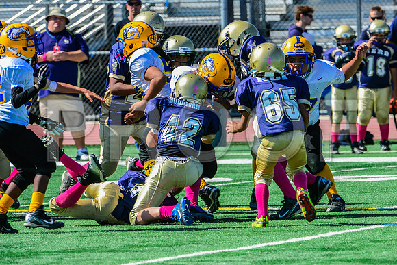 JR PEE WEE Elk Grove Herd-87