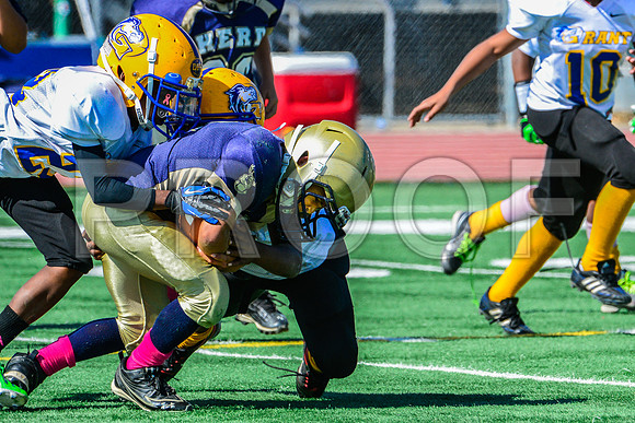 JR PEE WEE Elk Grove Herd-76