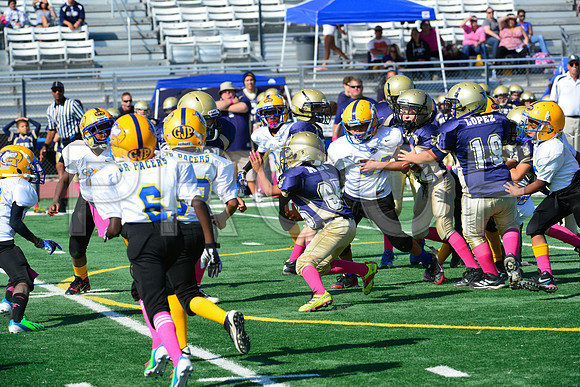 JR PEE WEE Elk Grove Herd-12