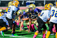 JR PEE WEE Elk Grove Herd-14