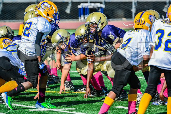 JR PEE WEE Elk Grove Herd-14