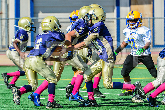 JR PEE WEE Elk Grove Herd-51