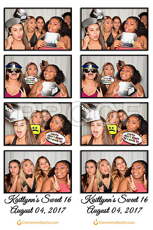 2017-8-4-0019-d