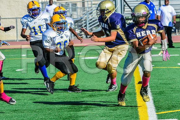 Jr Midgets Elk Grove Herd-87