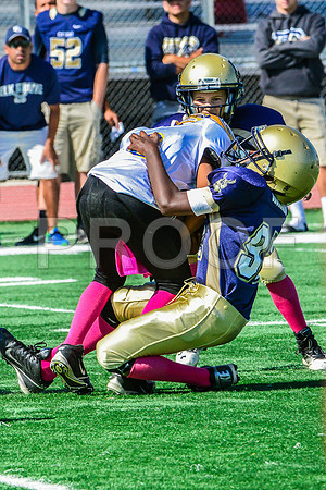 JR PEE WEE Elk Grove Herd-81