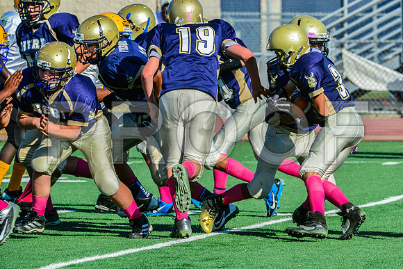 Jr Midgets Elk Grove Herd-80