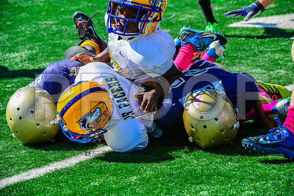 JR PEE WEE Elk Grove Herd-90