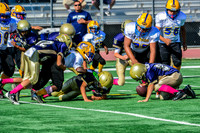 JR PEE WEE Elk Grove Herd-3