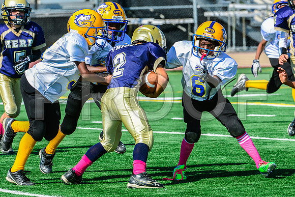 JR PEE WEE Elk Grove Herd-45