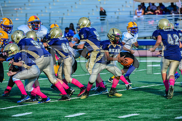 Jr Midgets Elk Grove Herd-141