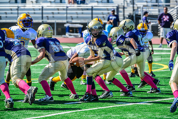 JR PEE WEE Elk Grove Herd-85