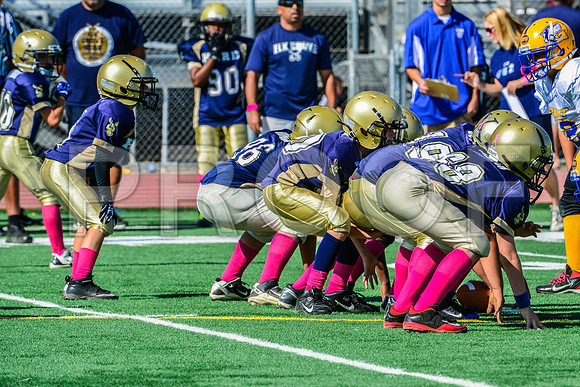 JR PEE WEE Elk Grove Herd-35