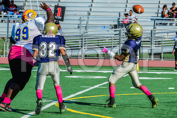 Jr Midgets Elk Grove Herd-99