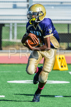 Jr Midgets Elk Grove Herd-47