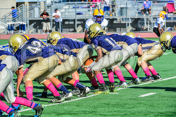 Jr Midgets Elk Grove Herd-66
