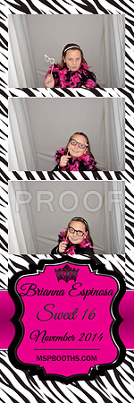 2014-11-8-0015
