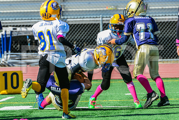JR PEE WEE Elk Grove Herd-31
