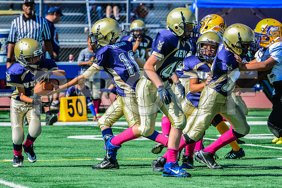 JR PEE WEE Elk Grove Herd-78
