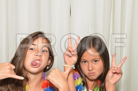 2013-8-10-0001-3
