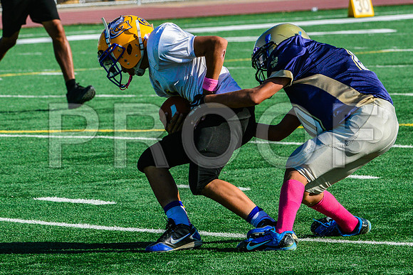 Jr Midgets Elk Grove Herd-111