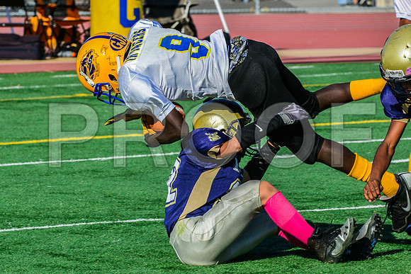 Jr Midgets Elk Grove Herd-115