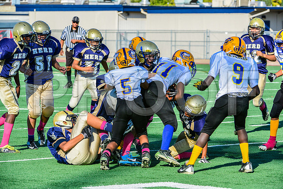 Jr Midgets Elk Grove Herd-105