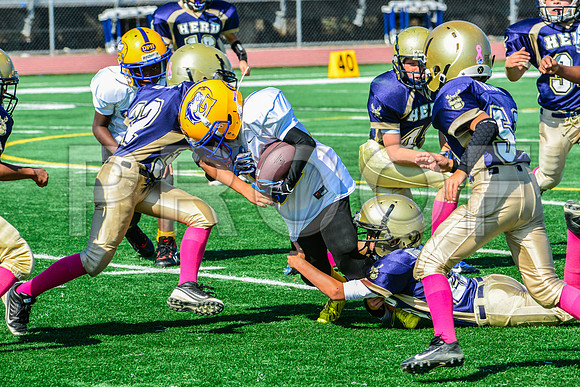 JR PEE WEE Elk Grove Herd-56
