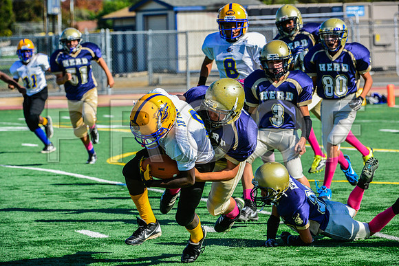 Jr Midgets Elk Grove Herd-27