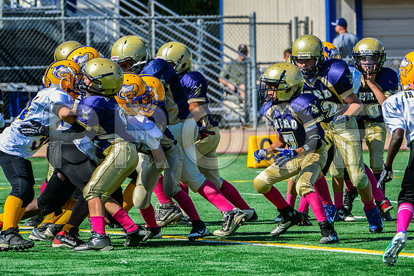 JR PEE WEE Elk Grove Herd-91