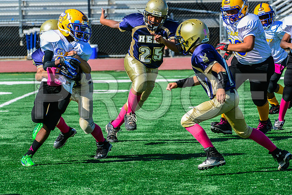 JR PEE WEE Elk Grove Herd-20