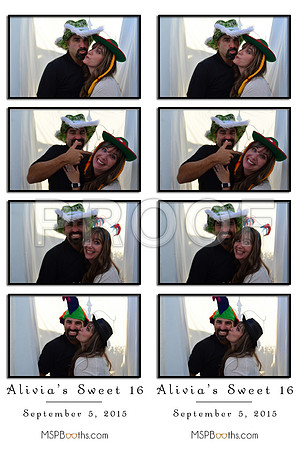 2015-9-5-0014-d