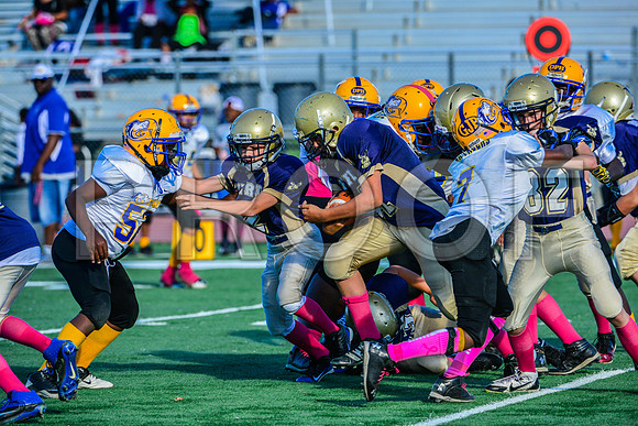 Jr Midgets Elk Grove Herd-134