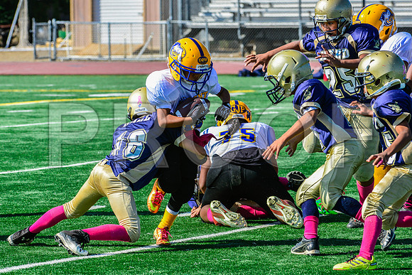 JR PEE WEE Elk Grove Herd-24
