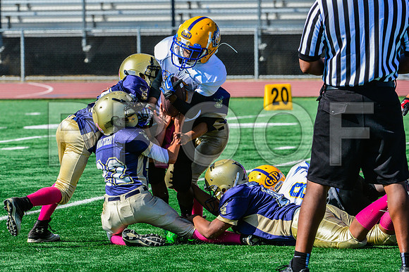 JR PEE WEE Elk Grove Herd-22