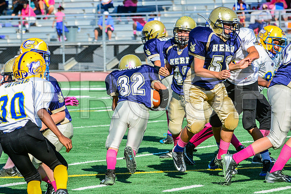 Jr Midgets Elk Grove Herd-55