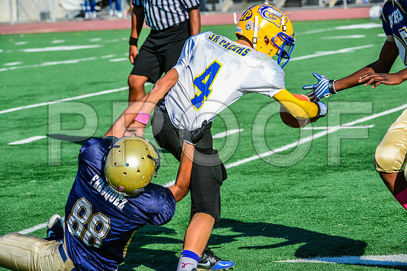 Jr Midgets Elk Grove Herd-95