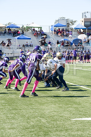 DSC_3413-Proof