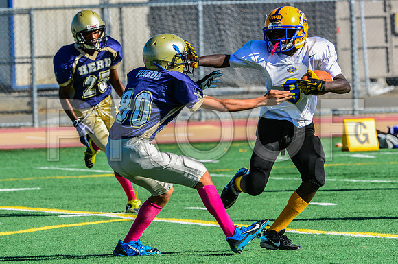 Jr Midgets Elk Grove Herd-25