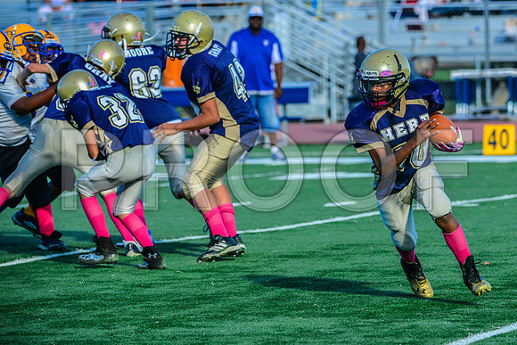 Jr Midgets Elk Grove Herd-142
