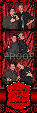 2014-11-15-0007